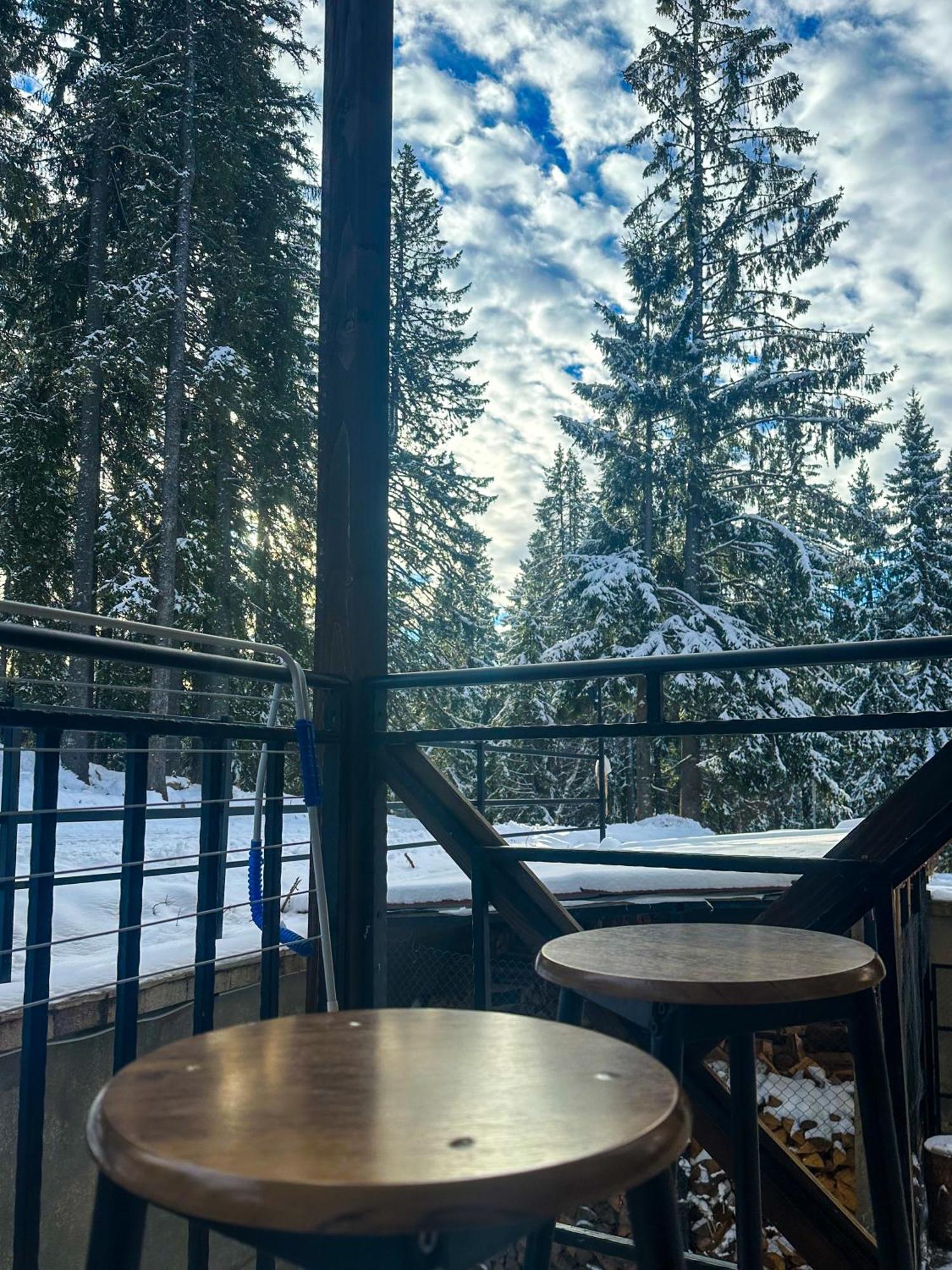 Castle Romance - Pamporovo Exteriér fotografie